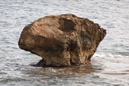 tun (571).jpg